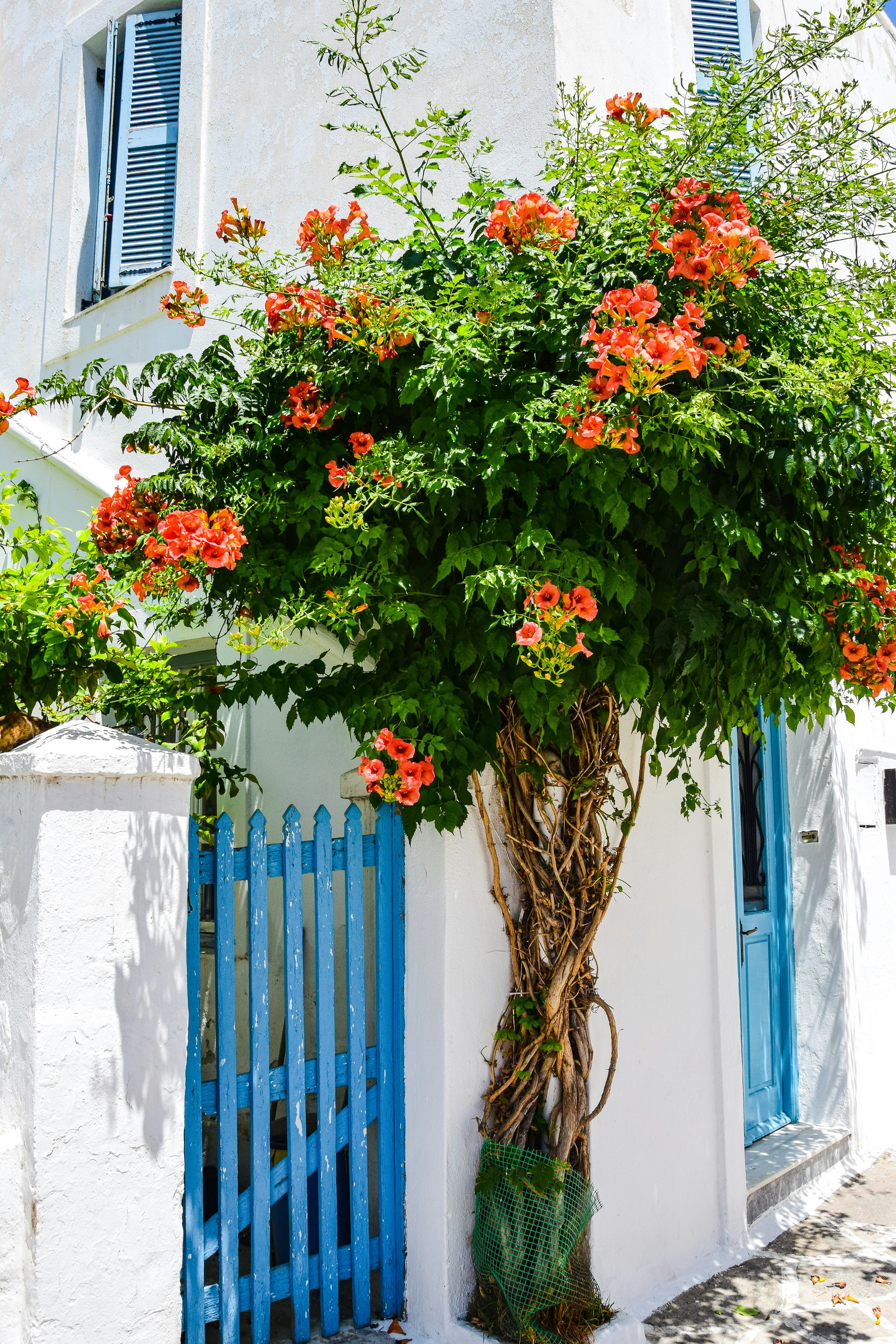 Trilha em Mykonos